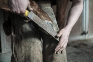 farrier-1246258_1920